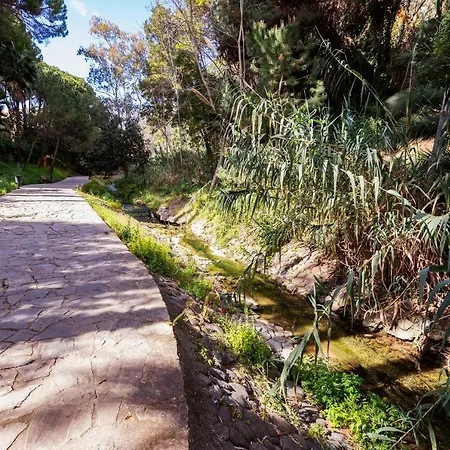 House 133 Second Line アパート *